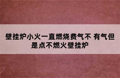 壁挂炉小火一直燃烧费气不 有气但是点不燃火壁挂炉